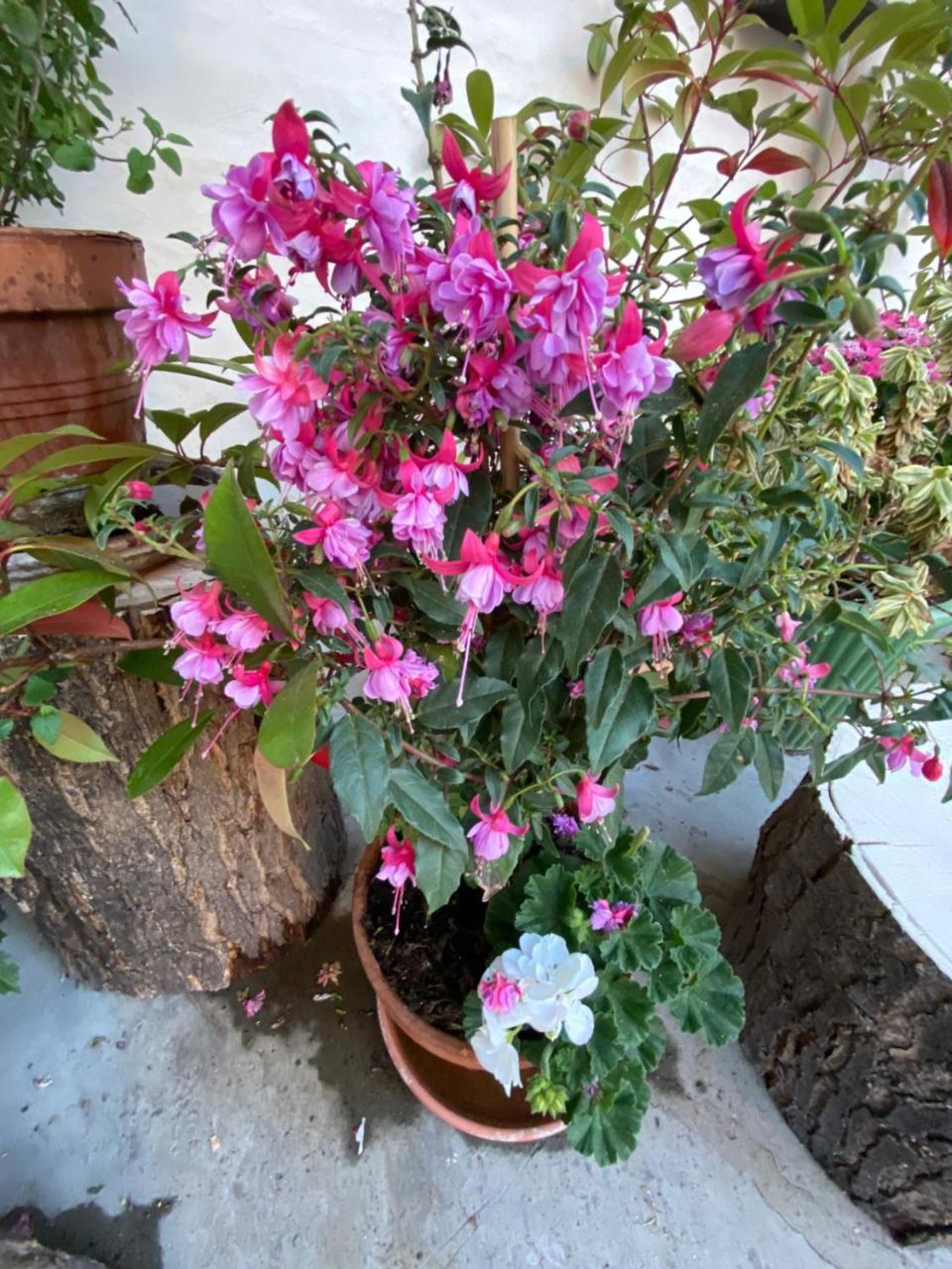 Great Rooms in An Uber Cool Flat! London Bridge