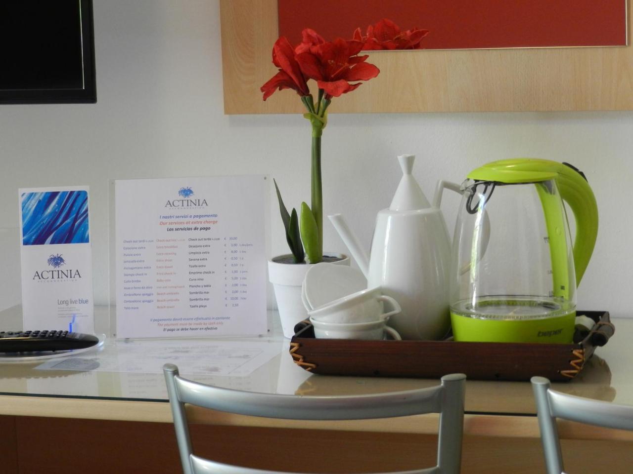 Actinia Accomodation 2