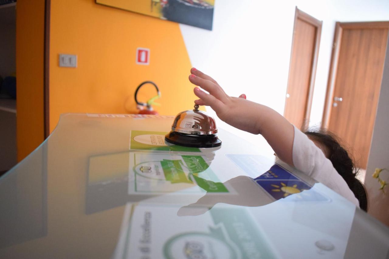 Actinia Accomodation 1