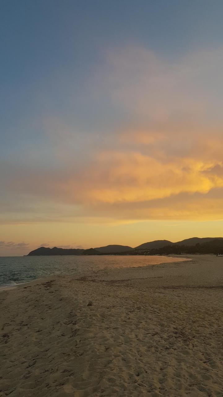 Villetta a 350 M Dal Mare 1