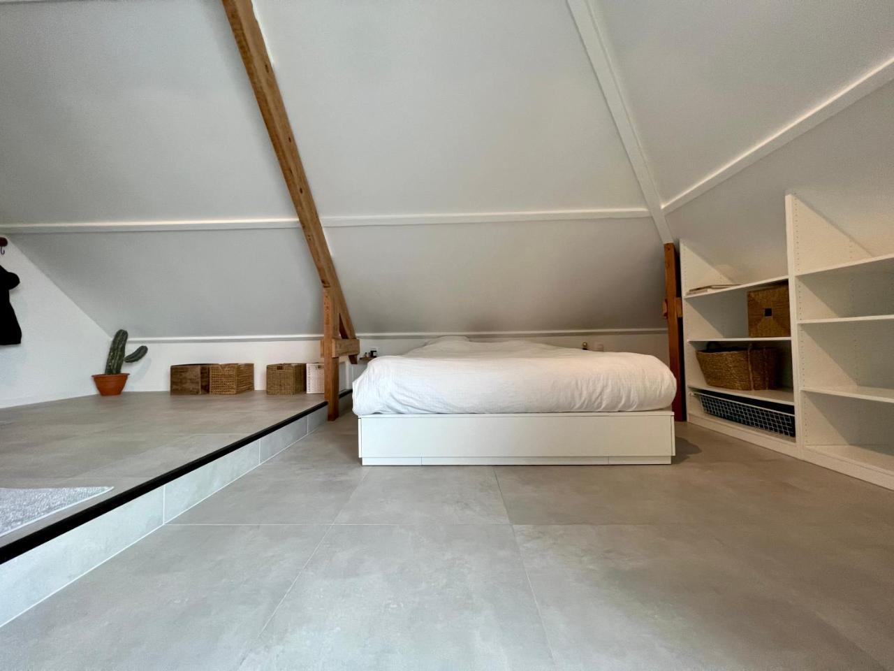 The Loft (Adults Only) 1