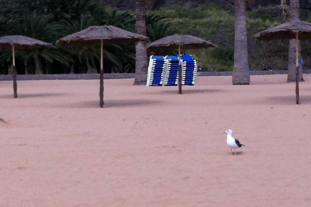 Casa Exclusiva Al Lado de la Playa 1