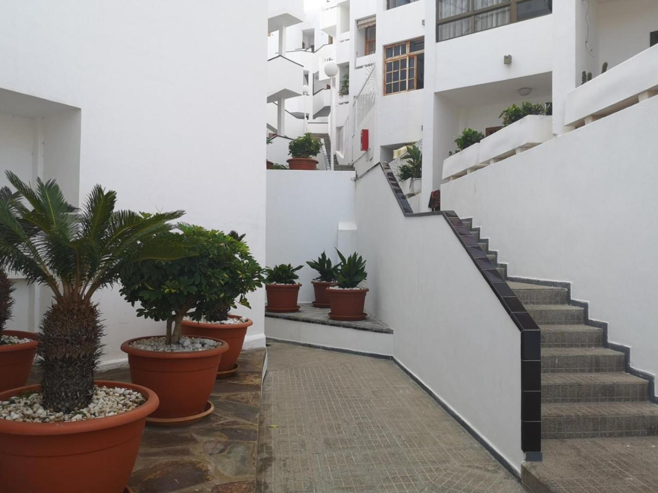 Apartamento Sofia Los Cristianos 2