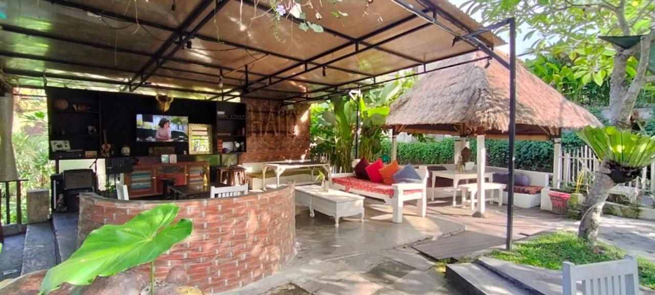 The Onion Collective 2