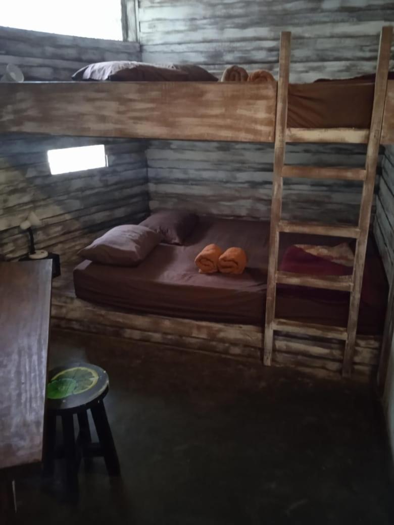 The Onion Collective 1