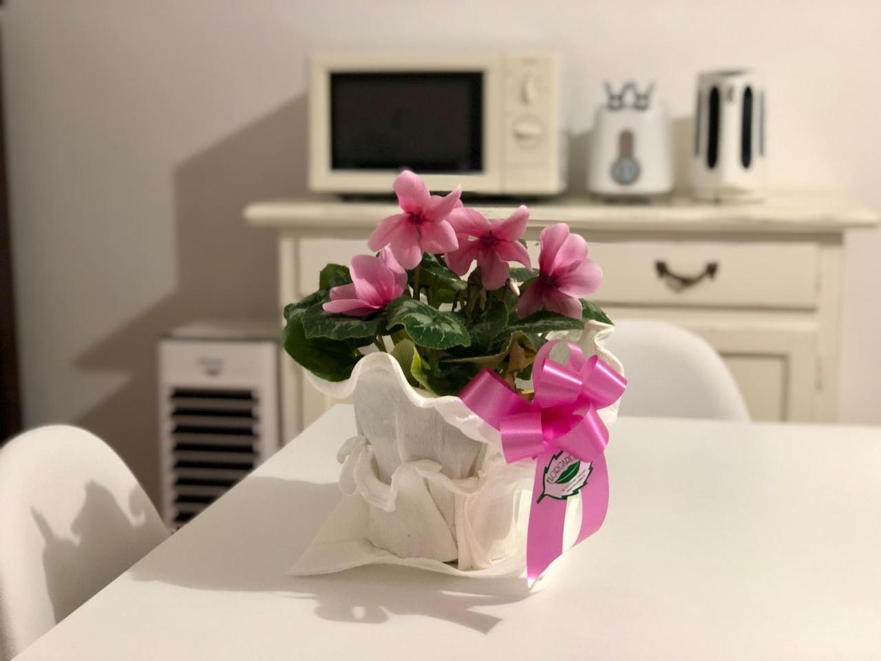 Casa Confortevole a Due Passi Dal Lungomare Valencia