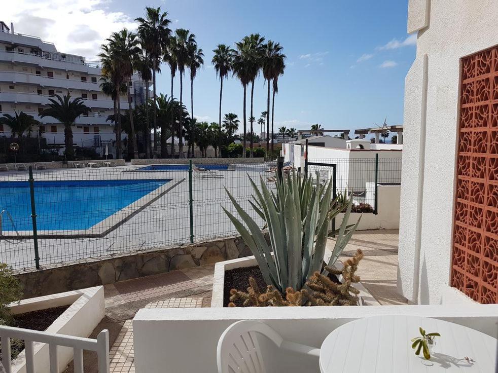 Vina Del Mar - Costa Adeje 2