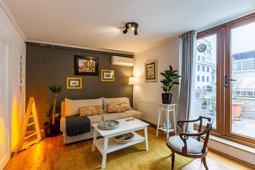 Splendid Flat with Terrace Near Istiklal Street