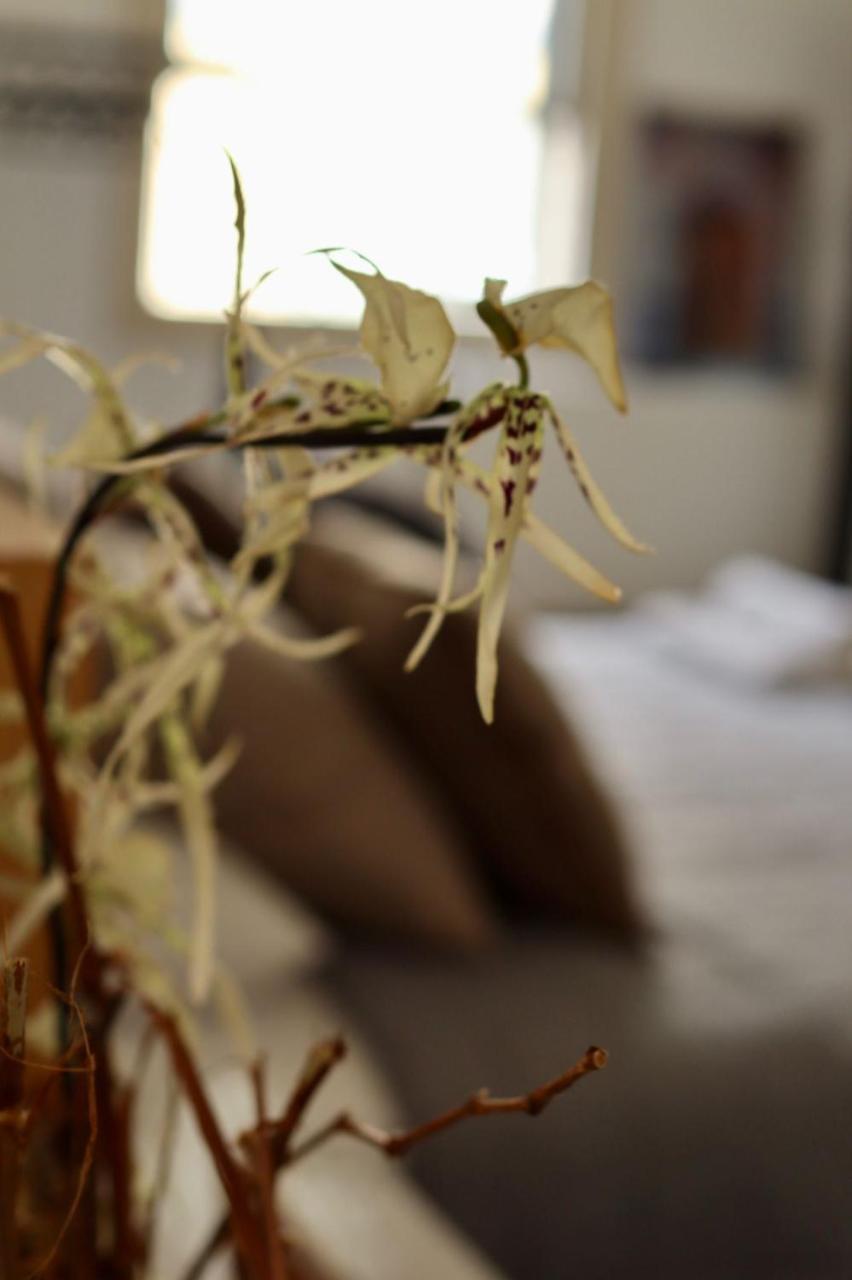 Platform 357 I Traditional House in the Old City 2