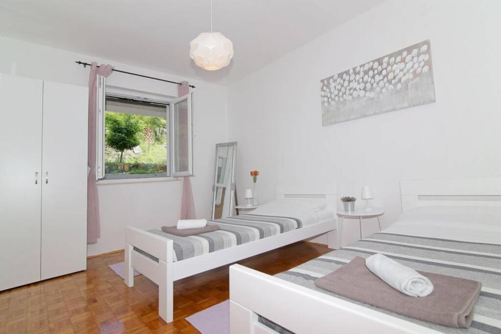 Olive Tree House 2 2