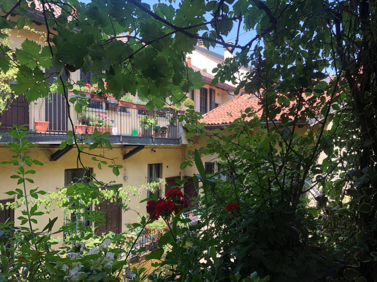 Il Tetto Fiorito Dell'isola 2