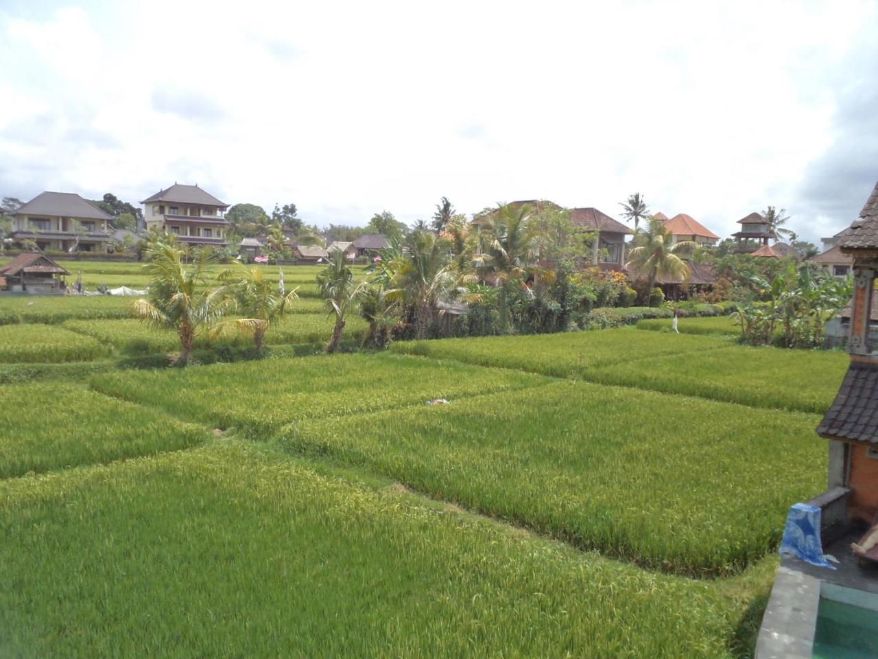 Ala's Green Lagoon Guest House 2