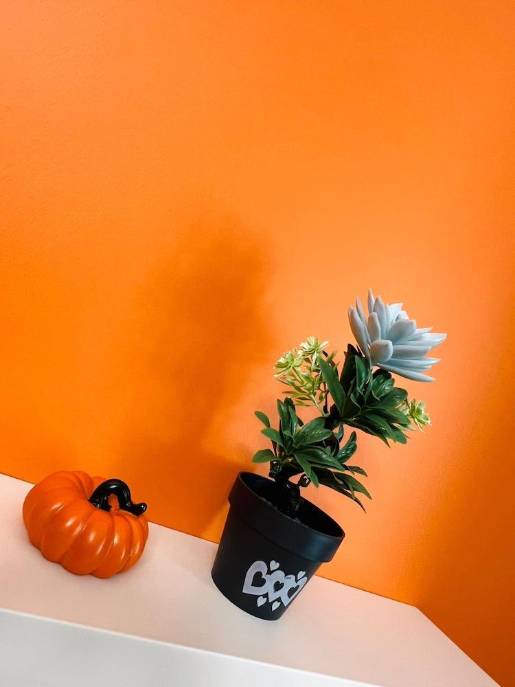 Apex (Adults only) 1