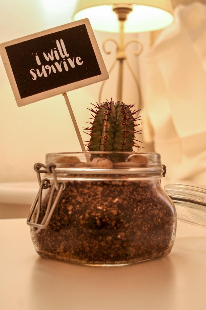 B&B Panorama Alghero (Adults only) 1