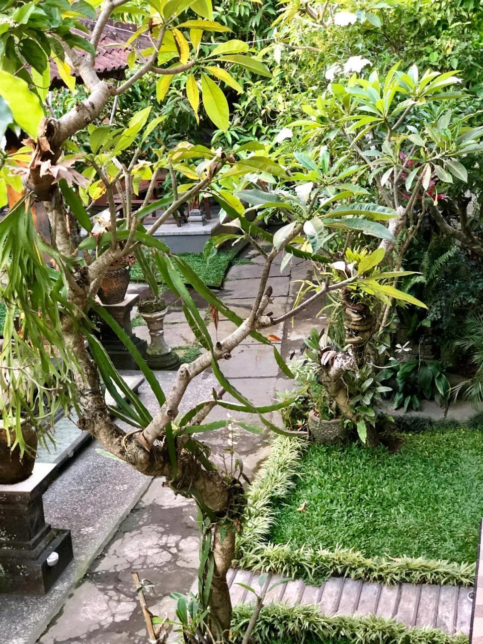 The Hidden Bali Inn 1