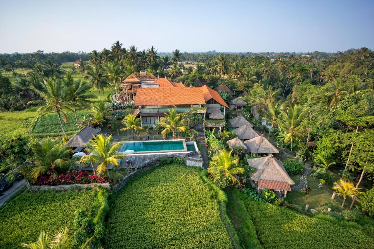 Ubud Sari Health Resort 1