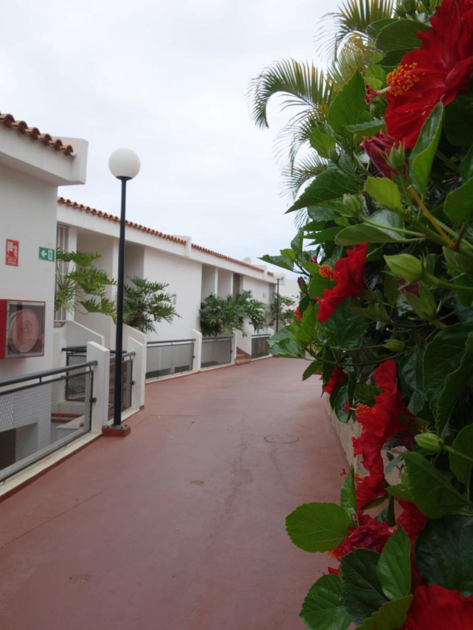 Huge Sunny Terrace Heated Pool Costa Adeje 2