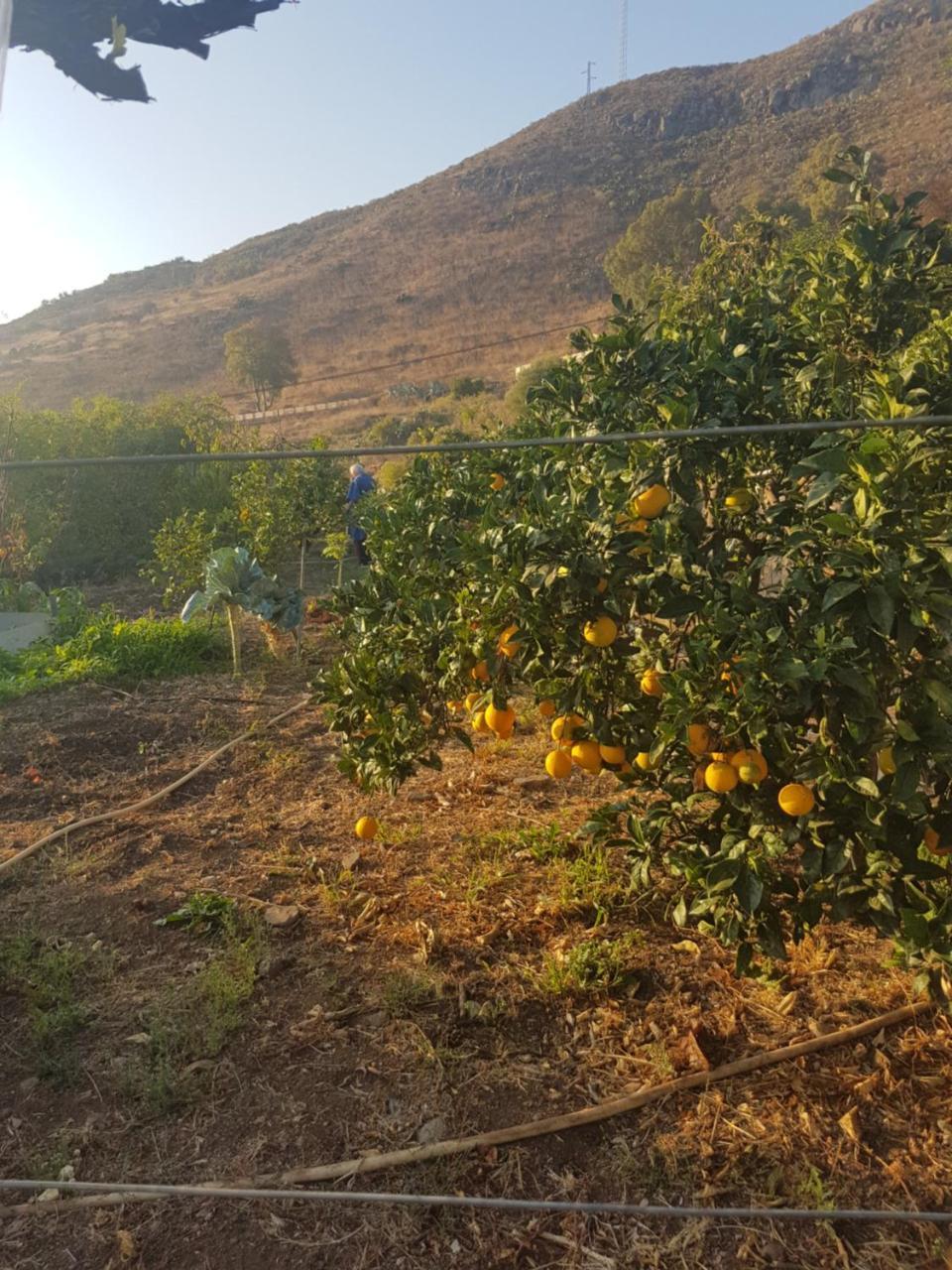 Apartamento Rural En Santa Cruz de Tenerife 2