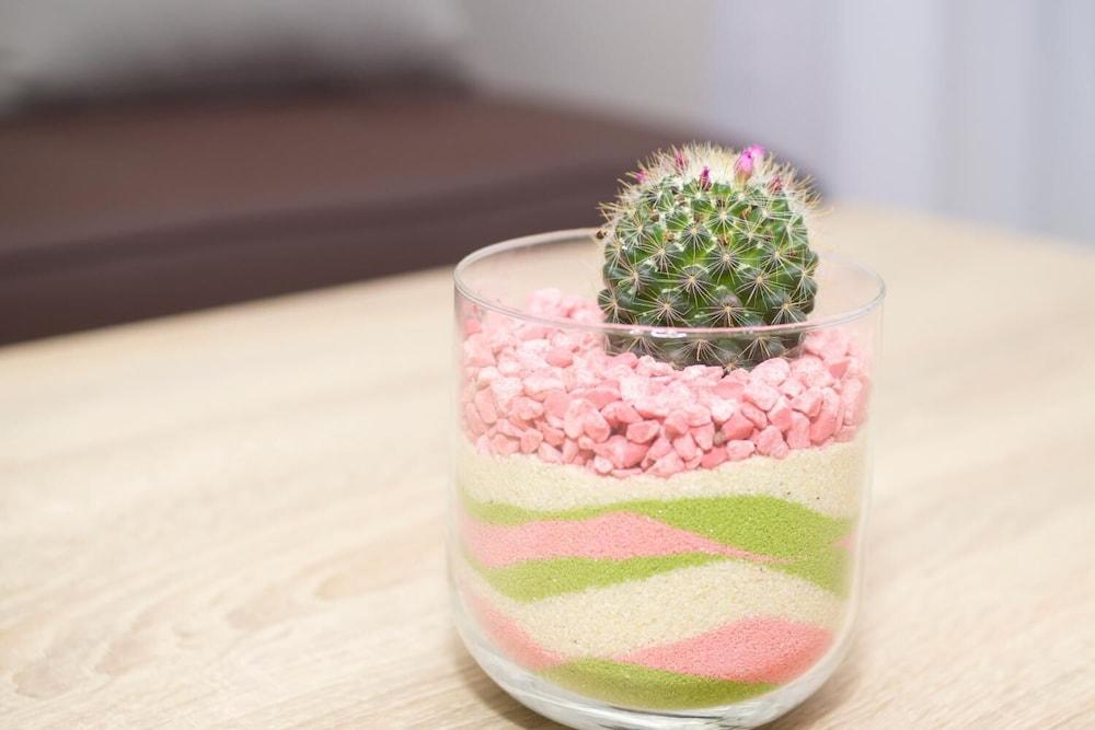 Apartments Ragusa Palace- Dardin 2