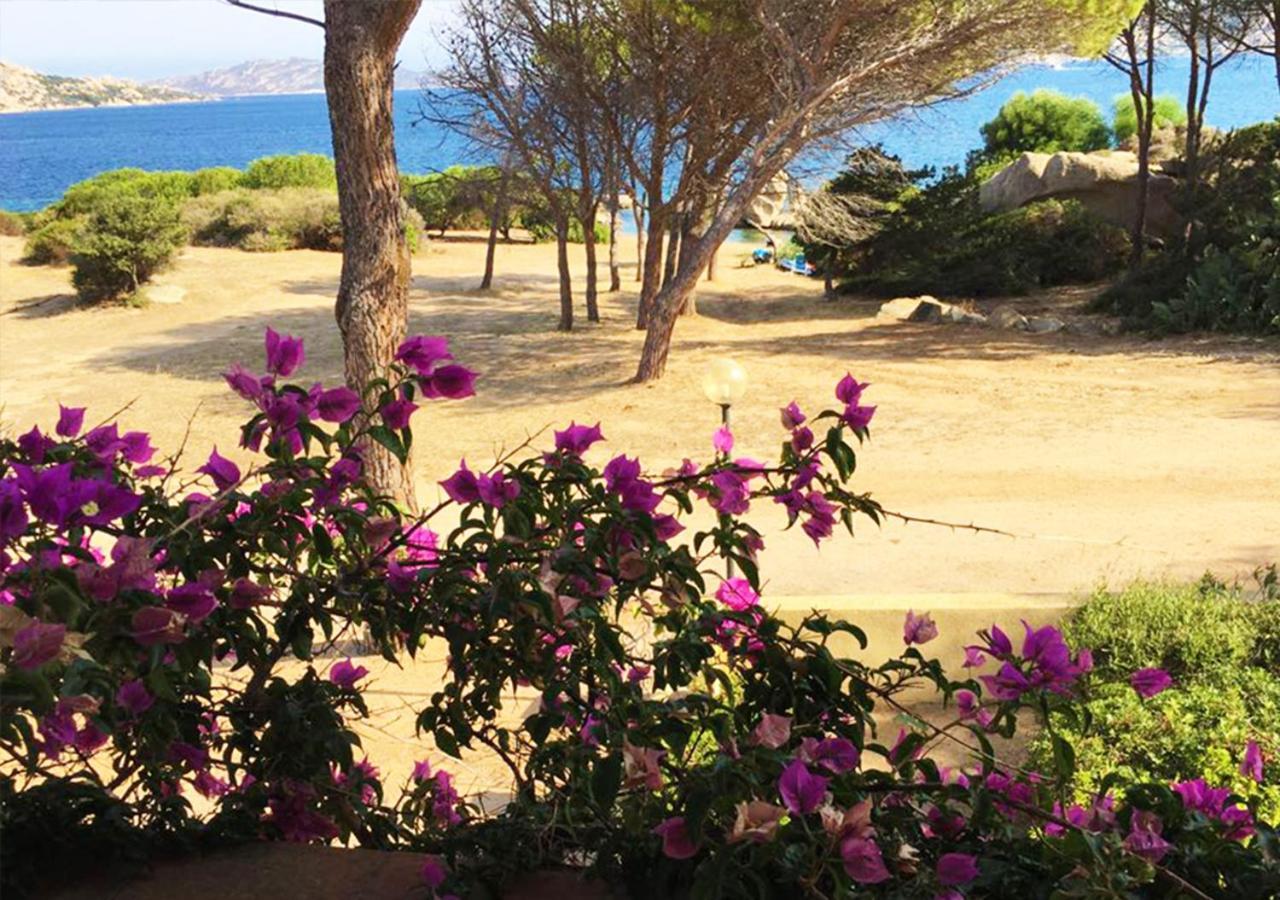 70 M Dal Mare, Panoramica