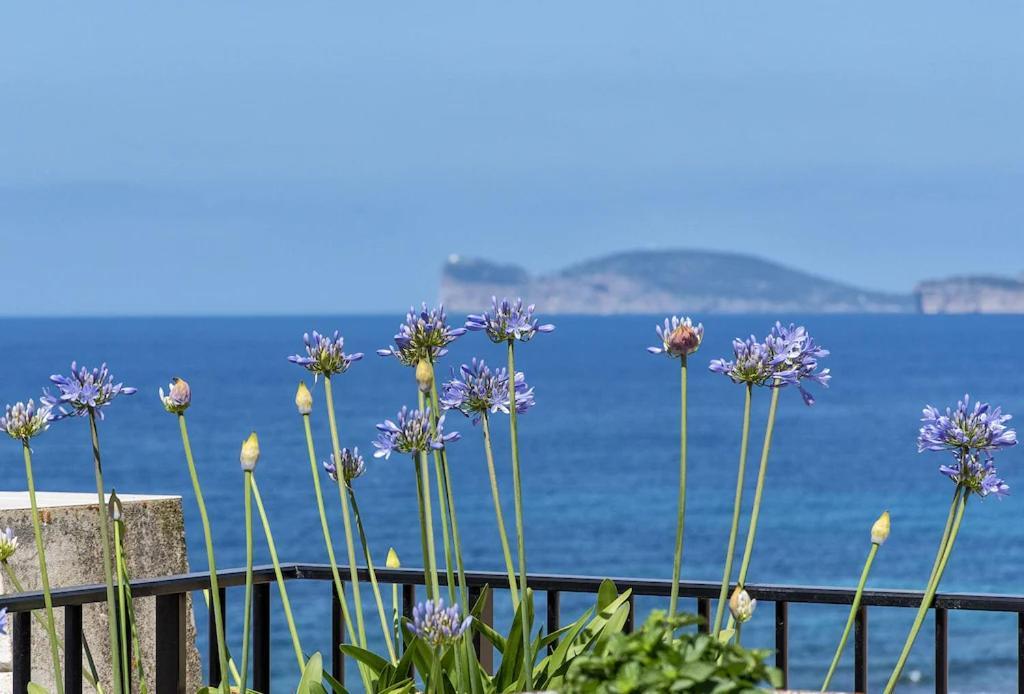 Attico Mir El Mar Alghero Con Spettacolare Terrazza Panoramica Vista Mare 1