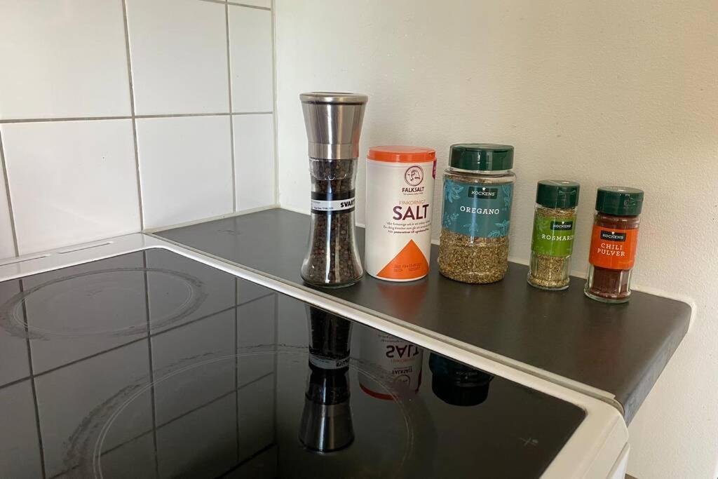 Modern Apartment in Inner-City Stockholm by the Water 2