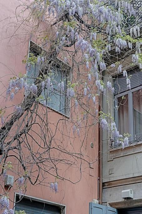 Primopiano - Ariberto 2