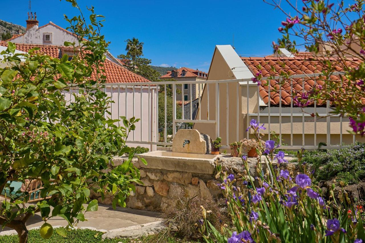 Apartment Hedera A10 2