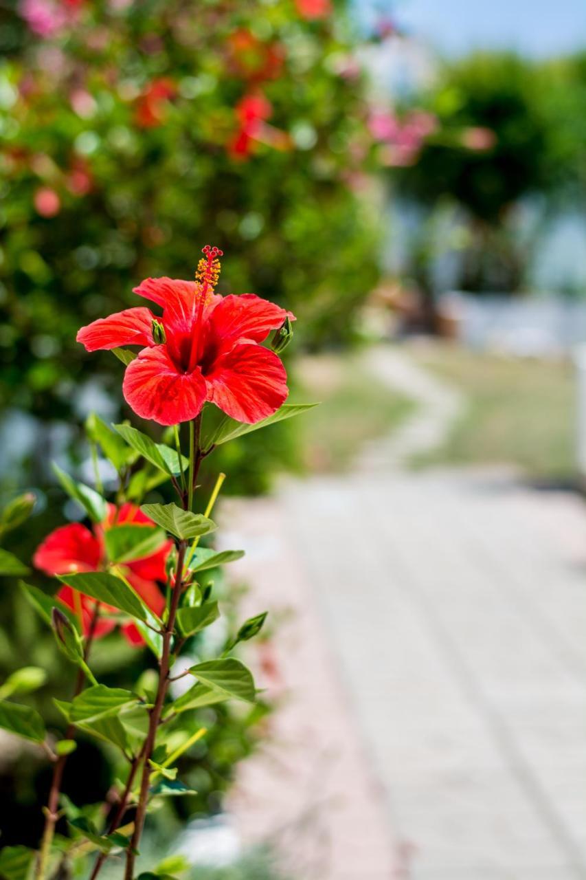 Salora Studio-Apartments 2