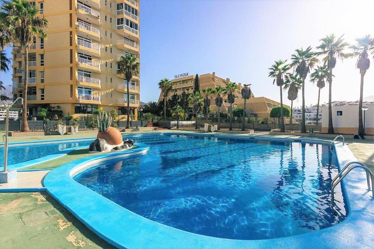 Americas Blue Yosea (Adults Only) 2