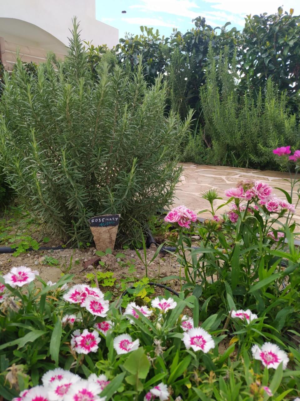 Rosemary Rhodes Villa 1