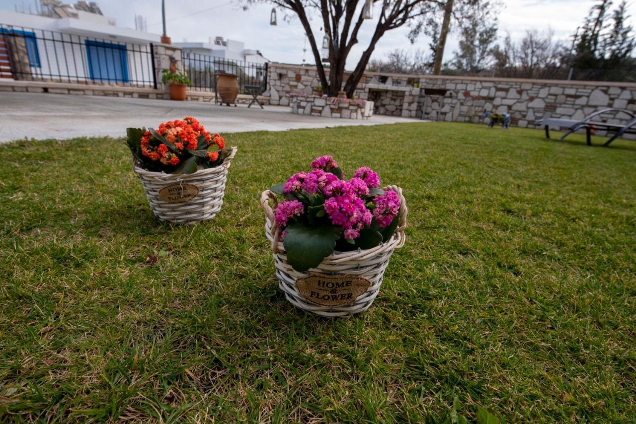 Searock Stegna Villa 2