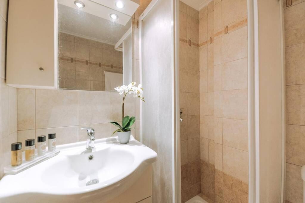 Petunia Garden View 2