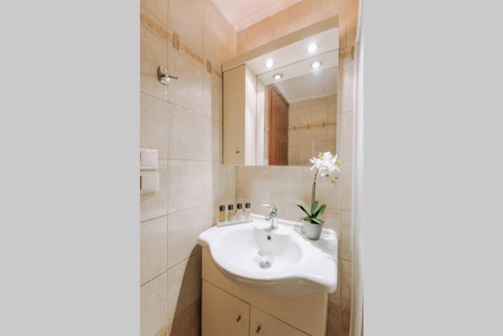 Petunia Garden View 1