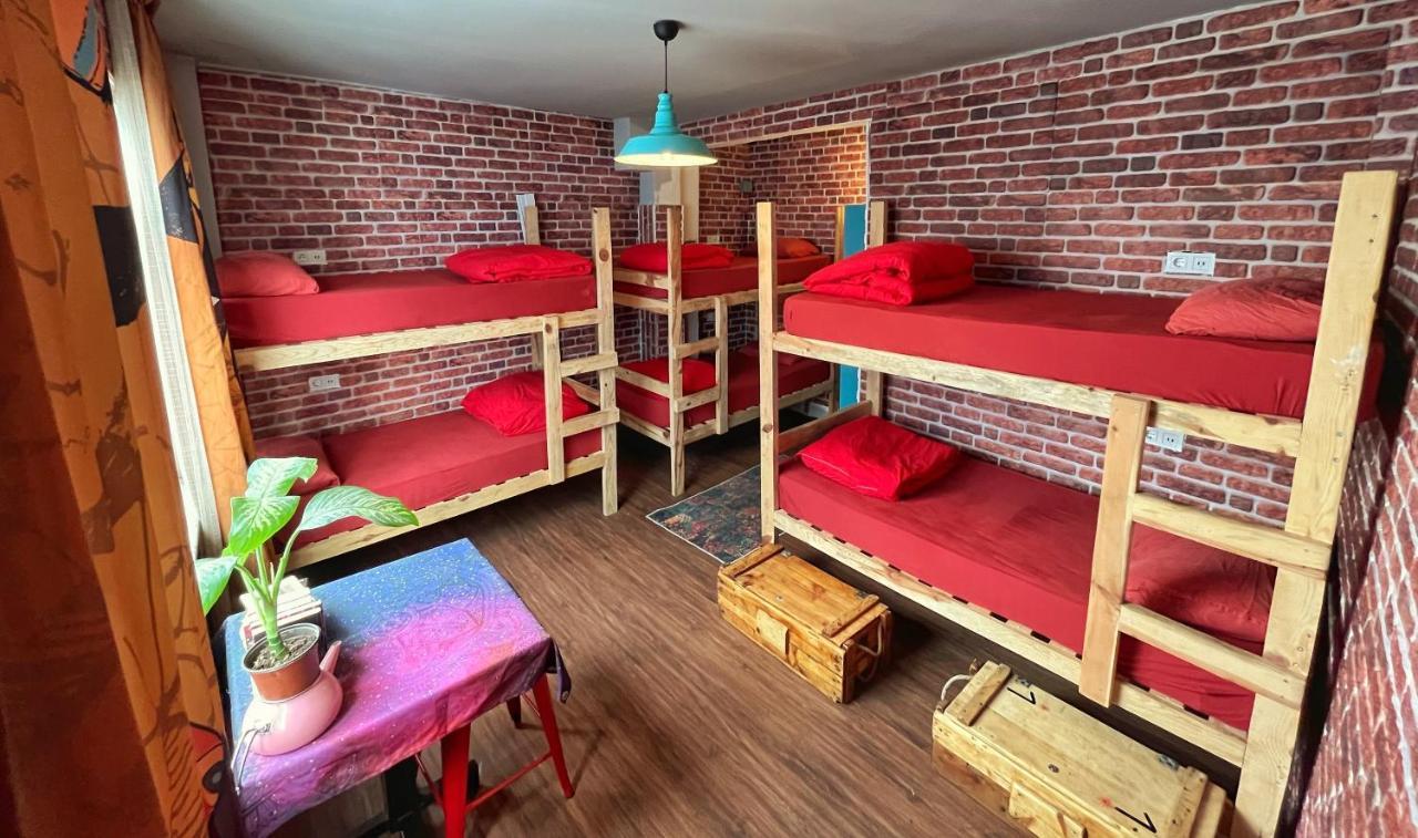 Lola Backpacker's Hostel (Adults Only) 1