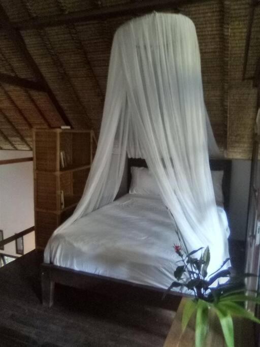 Paradise Bali Lovina Banjar 1