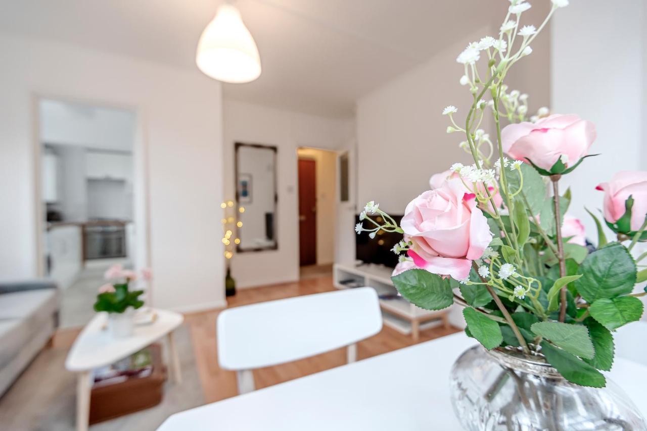 Modern One Bedroom Victoria Apartment 2