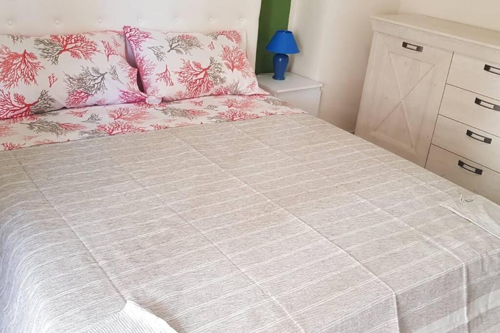 Grazioso Appartamento Con Ampia Veranda Abitabile