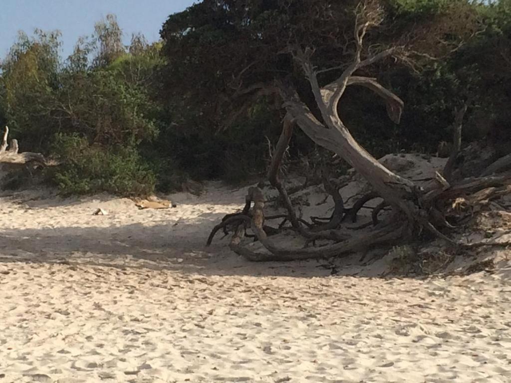 Appartamento Mare E Centro (Adults Only) 1