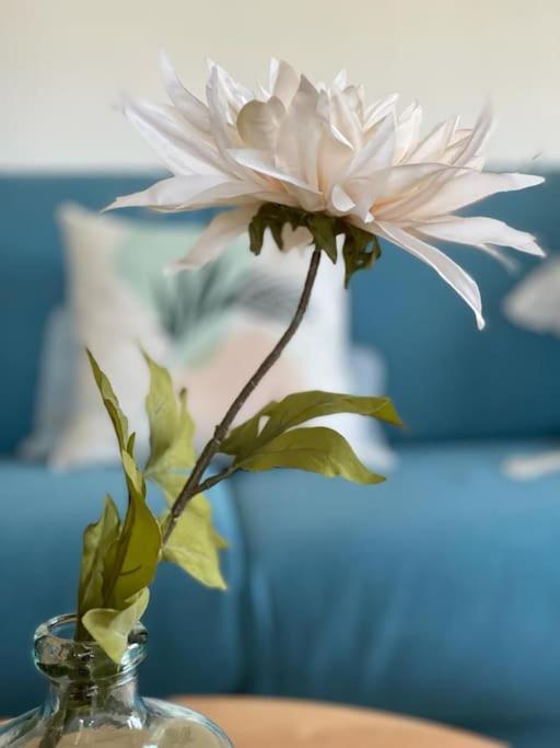 Großzugige Fewo Mit Bergblick Am Tegernsee 1