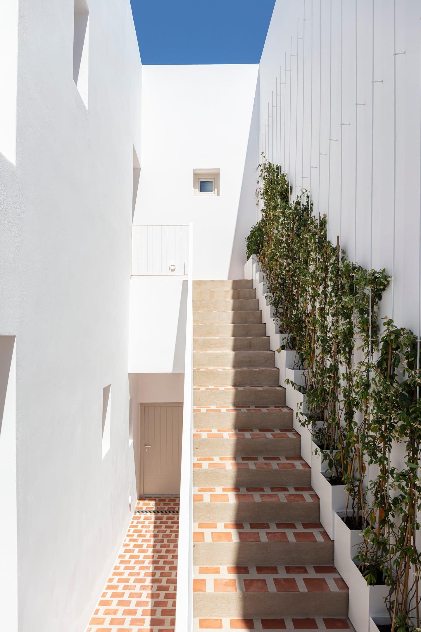 Ethos Vegan Suites 2