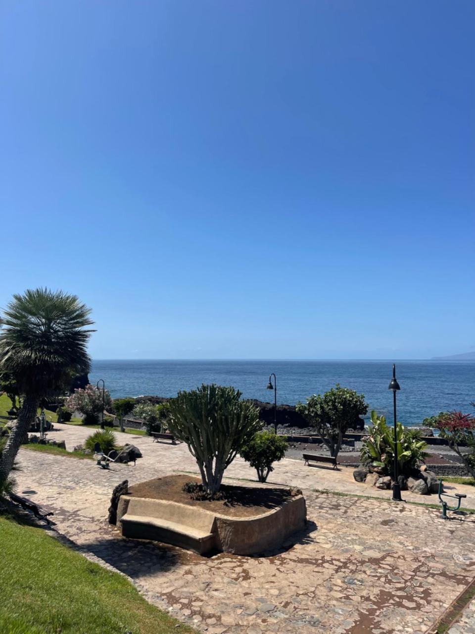 One Bedroom Apartment Playa la Arena 1