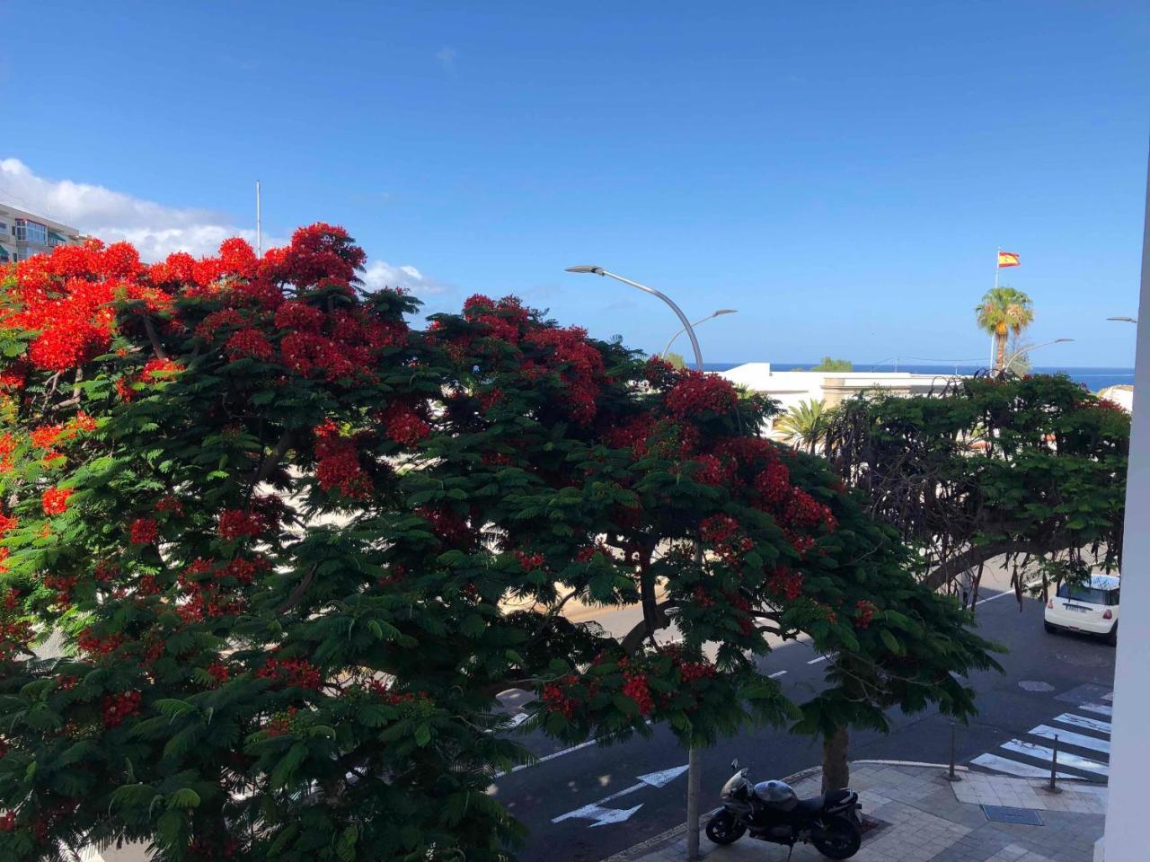 Santa Cruz de Tenerife Toscal