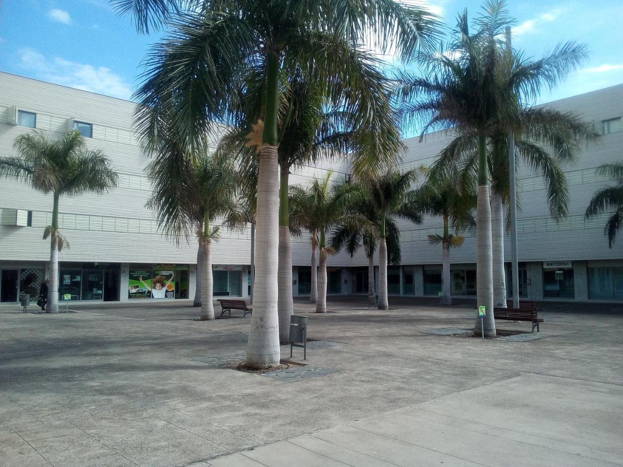 Vacaciones Familiares En Tenerife