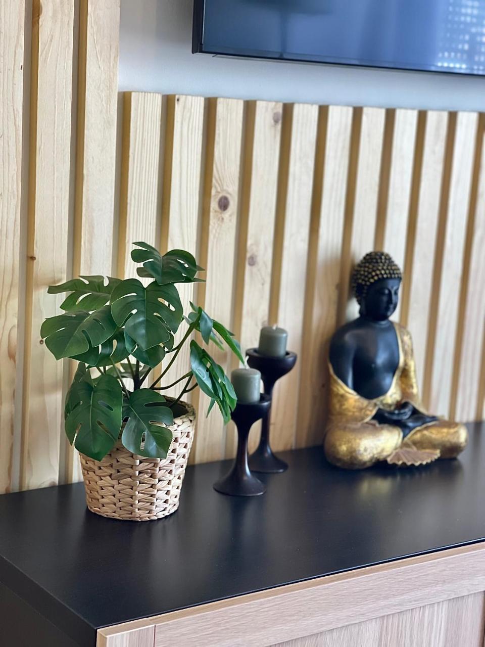 One Bedroom Apartment Playa la Arena 2