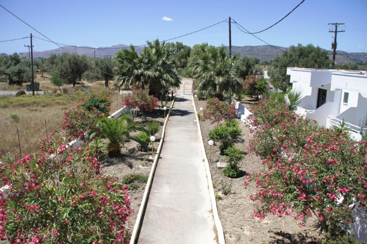 Harriet Studios Agathi 2