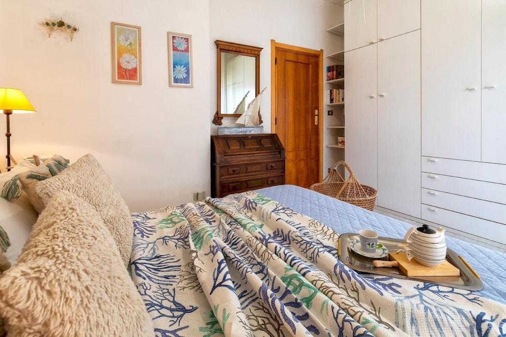 Sardiniare - Catalogna 62 1