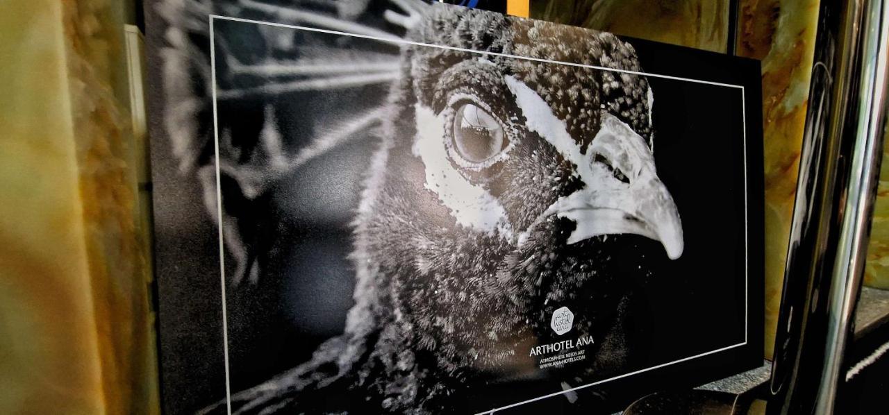 Arthotel Ana Munich Airport 2