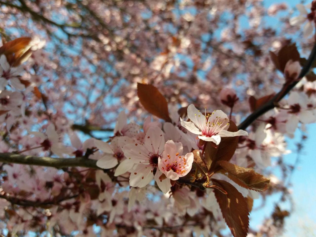 Apparthotel Ampertal 2