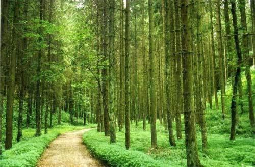 Abendruhe Hotel - Kontaktloser Check in 1